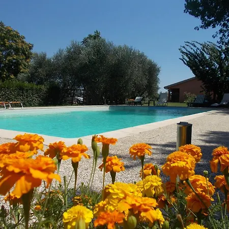 Agriturismo Camera Dei Ladri Marsiliana Room photo