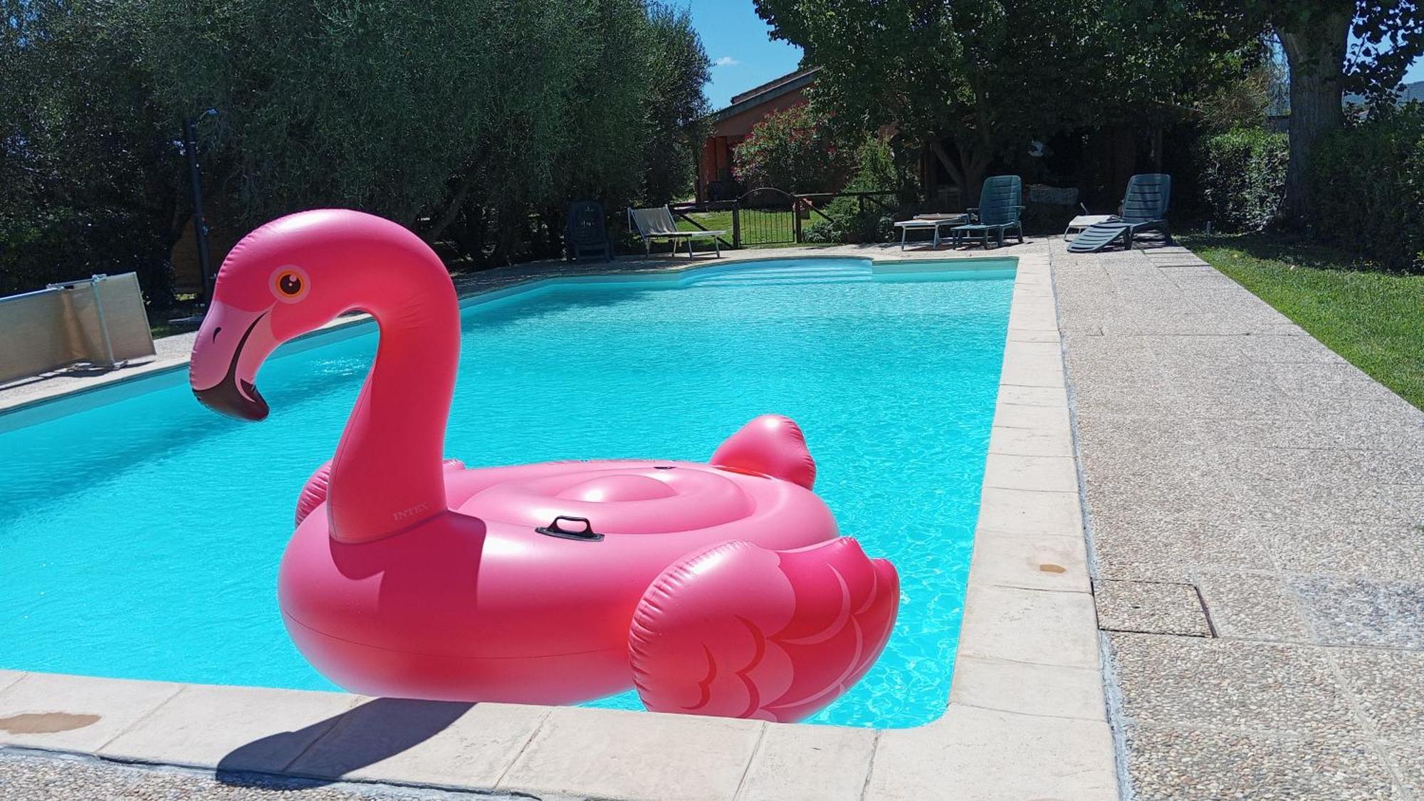 Dei Ladri Farm stay Marsiliana