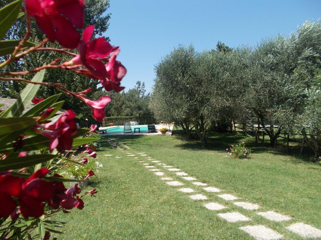 Dei Ladri Farm stay Marsiliana